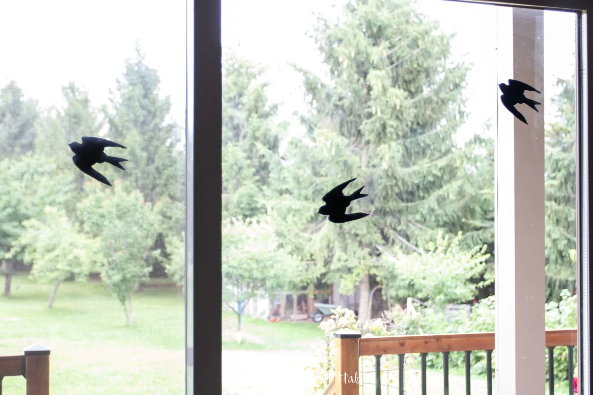 bird decals on a screen door
