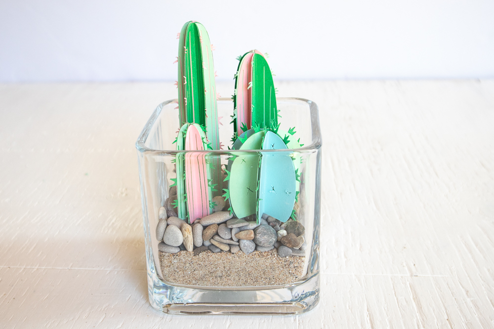 3D paper cactus terrarium.