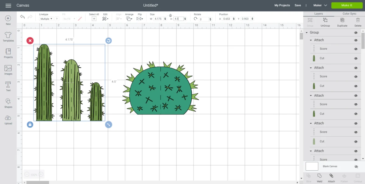 Resizing the cactus image in Cricut design space.