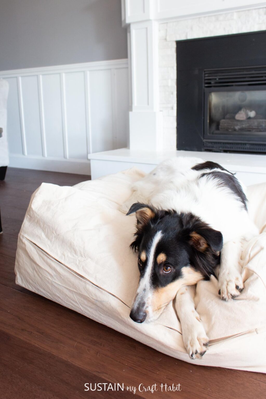 DIY Removable Dog Bed Cover Sustain My Craft Habit