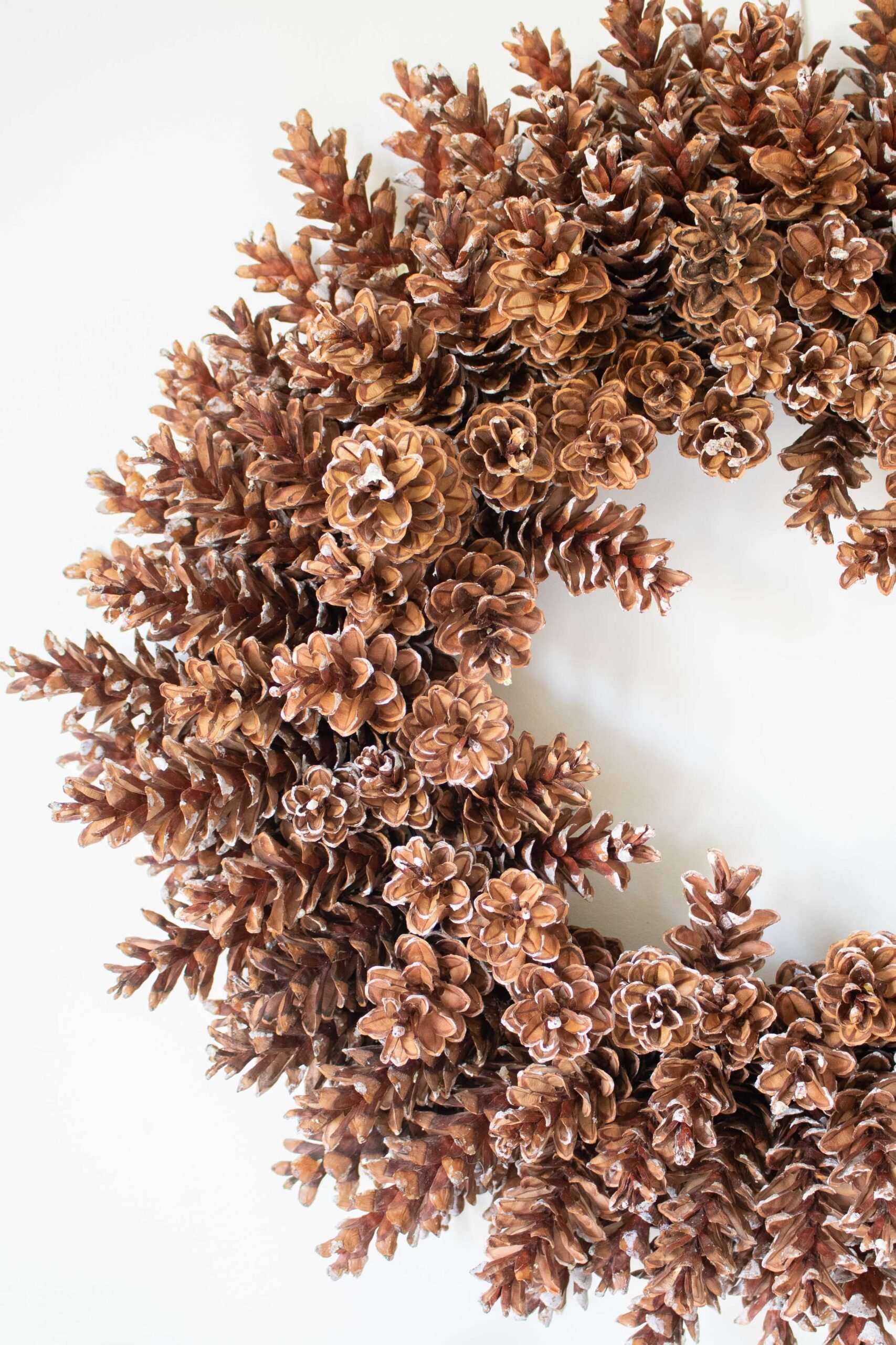 Close up image of half of the completed DIY pine cone wreath, showing the details of the Eastern white pinecones.