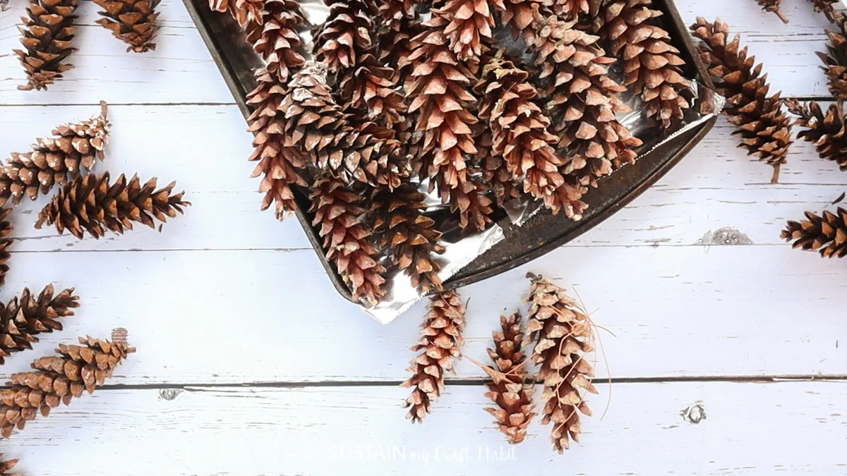 Pinecones placed on a baking sheet.