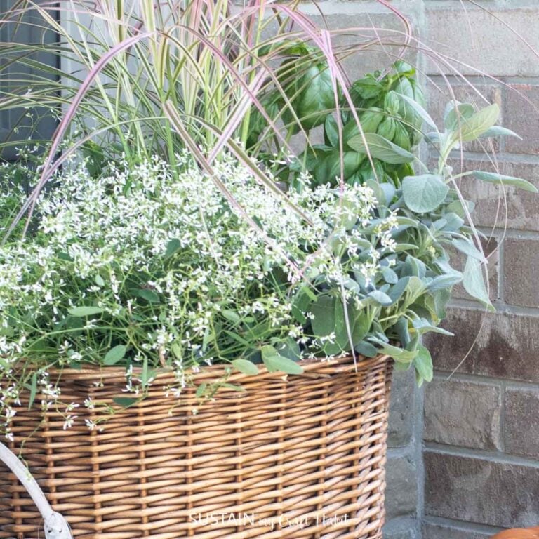 Easy Budget Friendly Fall Planter Idea