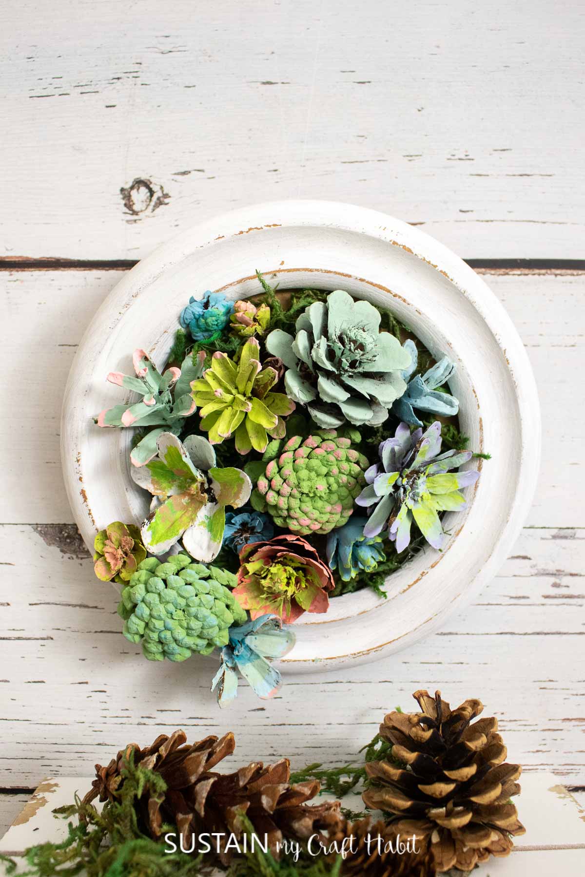 Pine cone succulents in a frame.