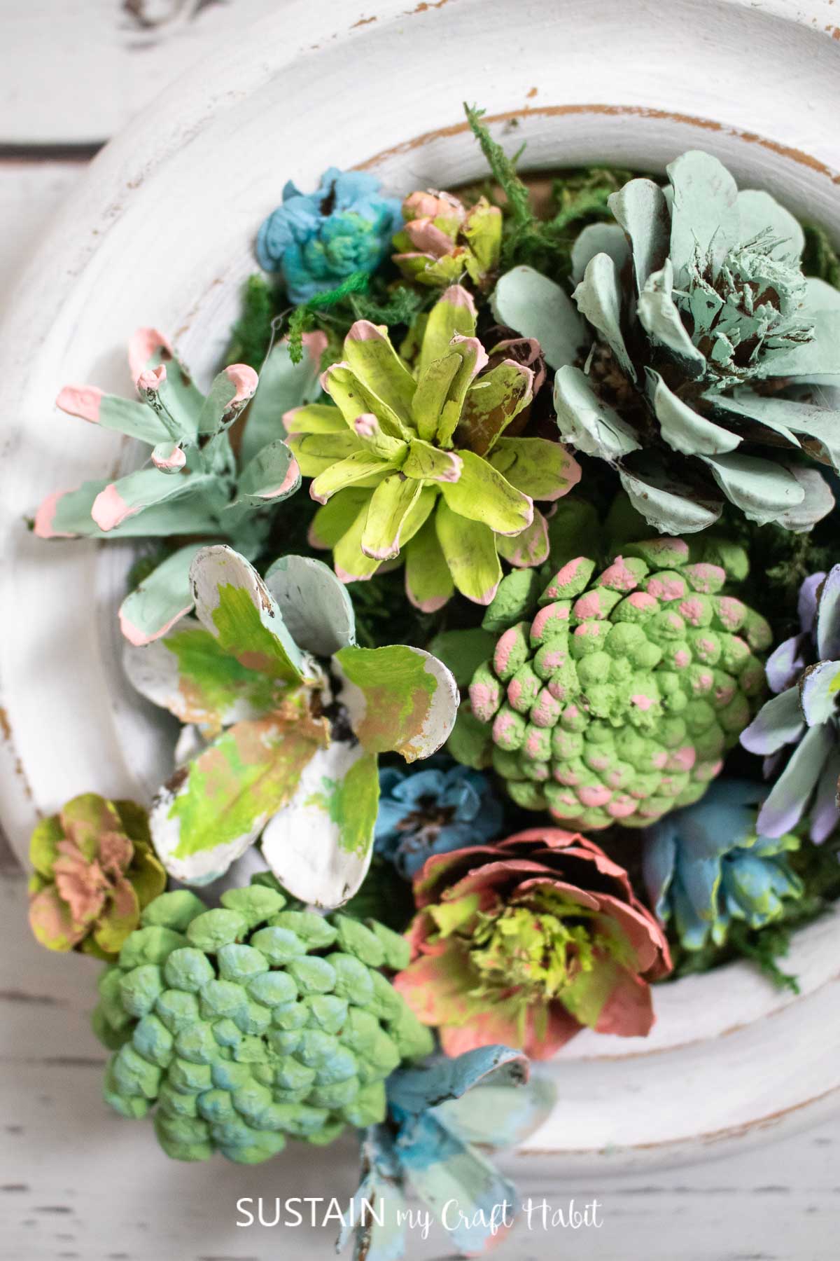 Close up of arranged pinecone succulents.