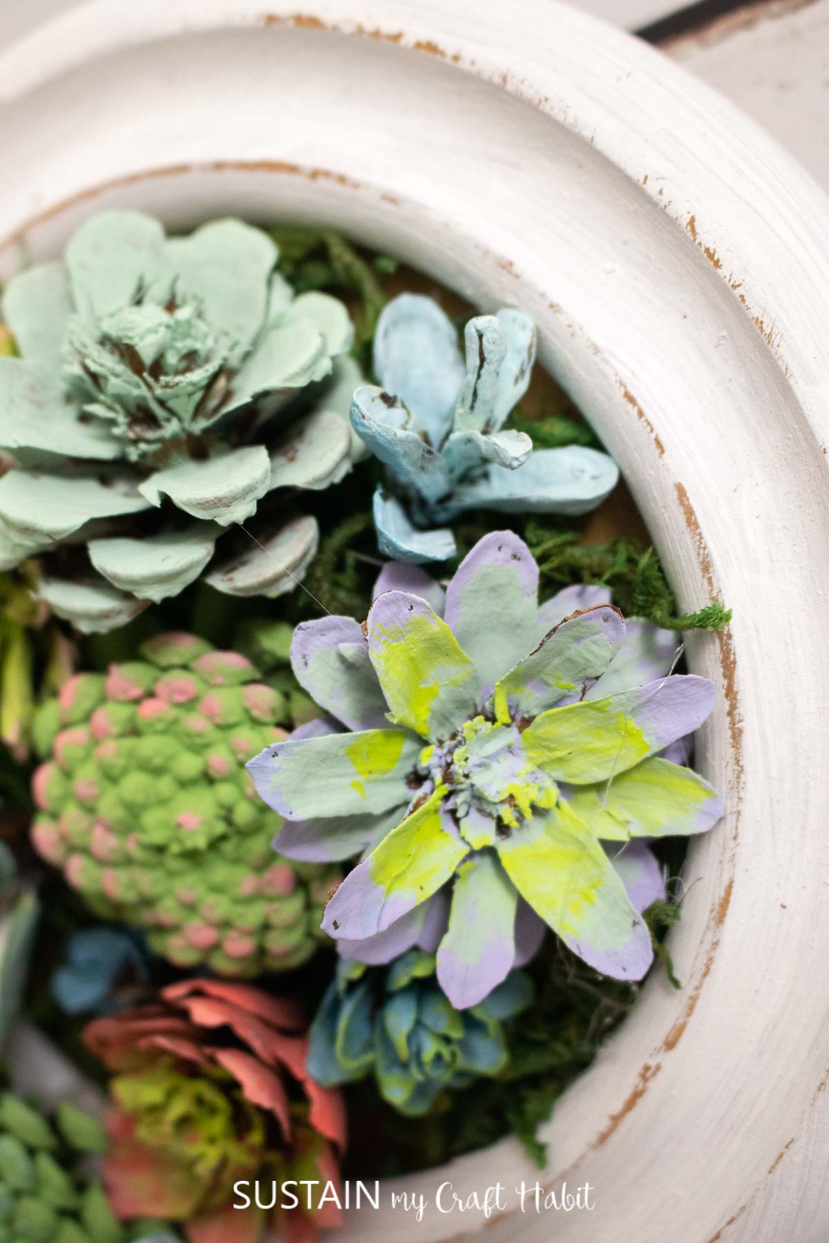 Painted pinecone succulents in a frame.