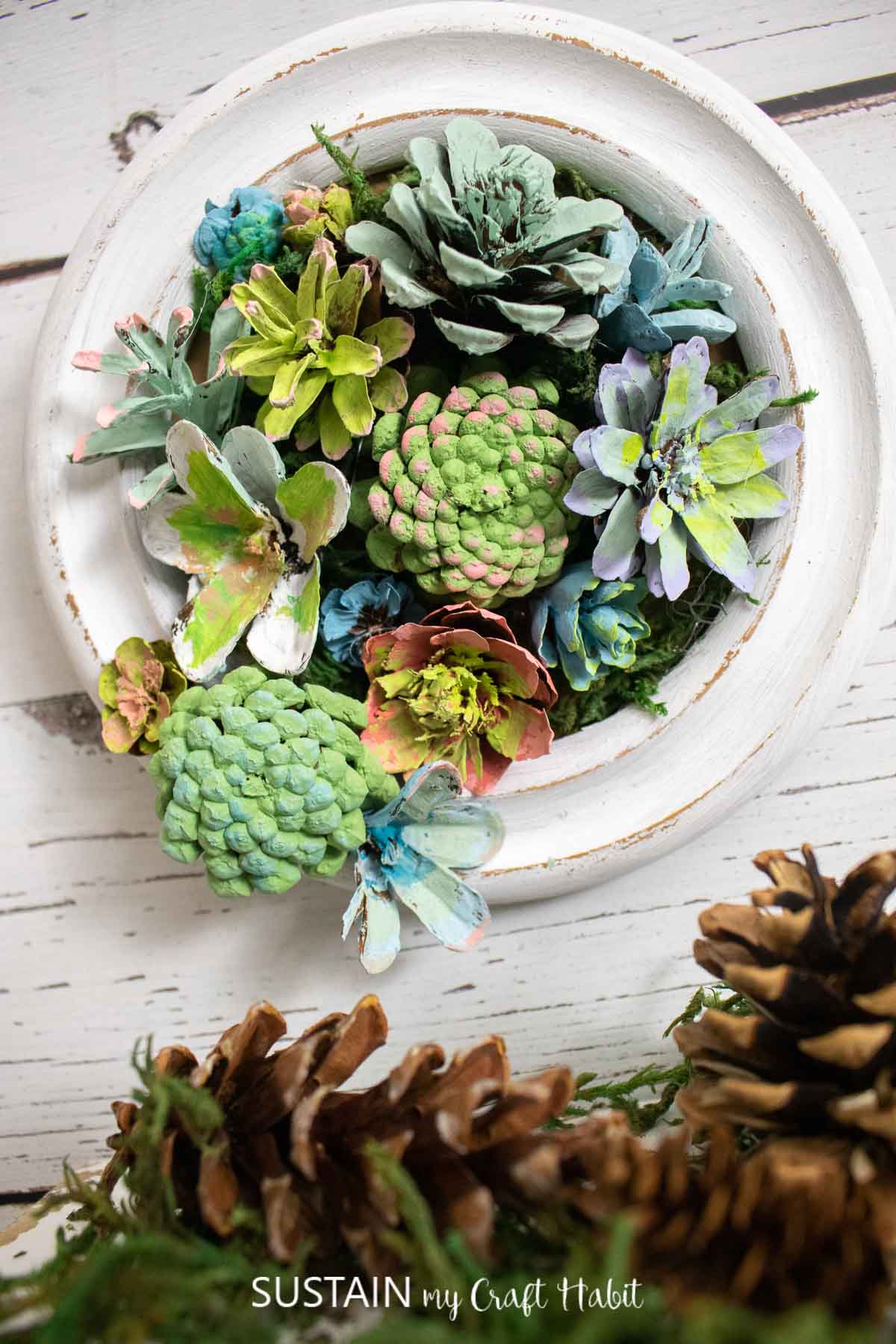 A variety of pine cones painted to look like succulents arranged in a small white round frame.