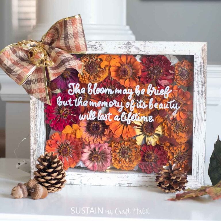 Dried Flower Shadow Box Art
