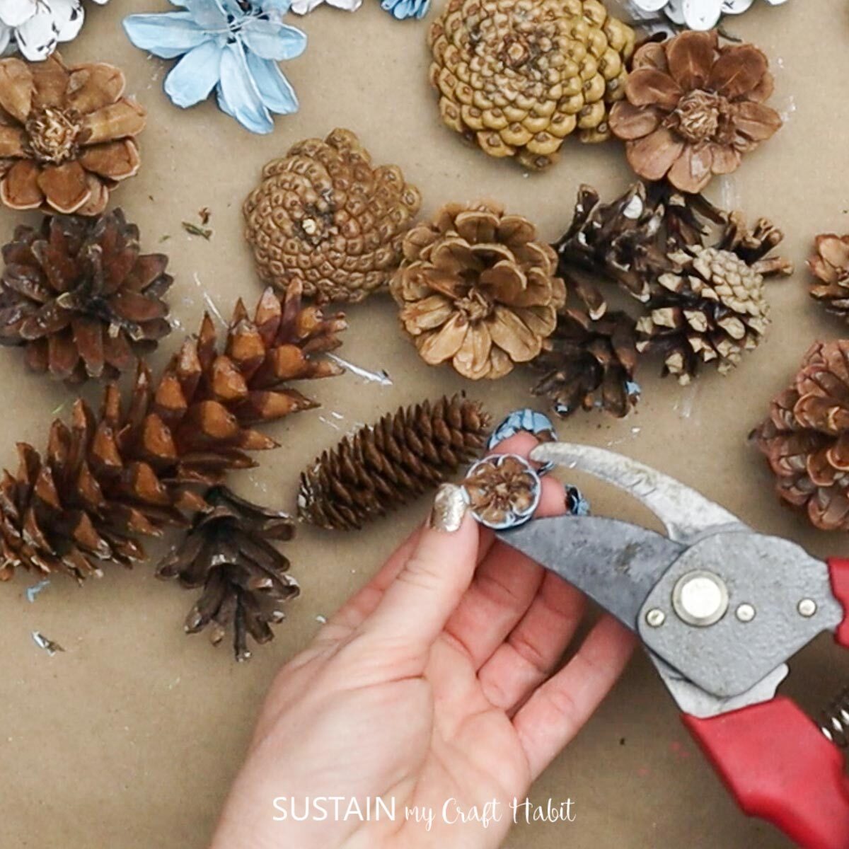 Cutting pinecones with garden snips.
