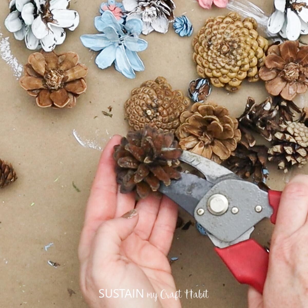 Cutting small pieces of pine cones with garden snips.