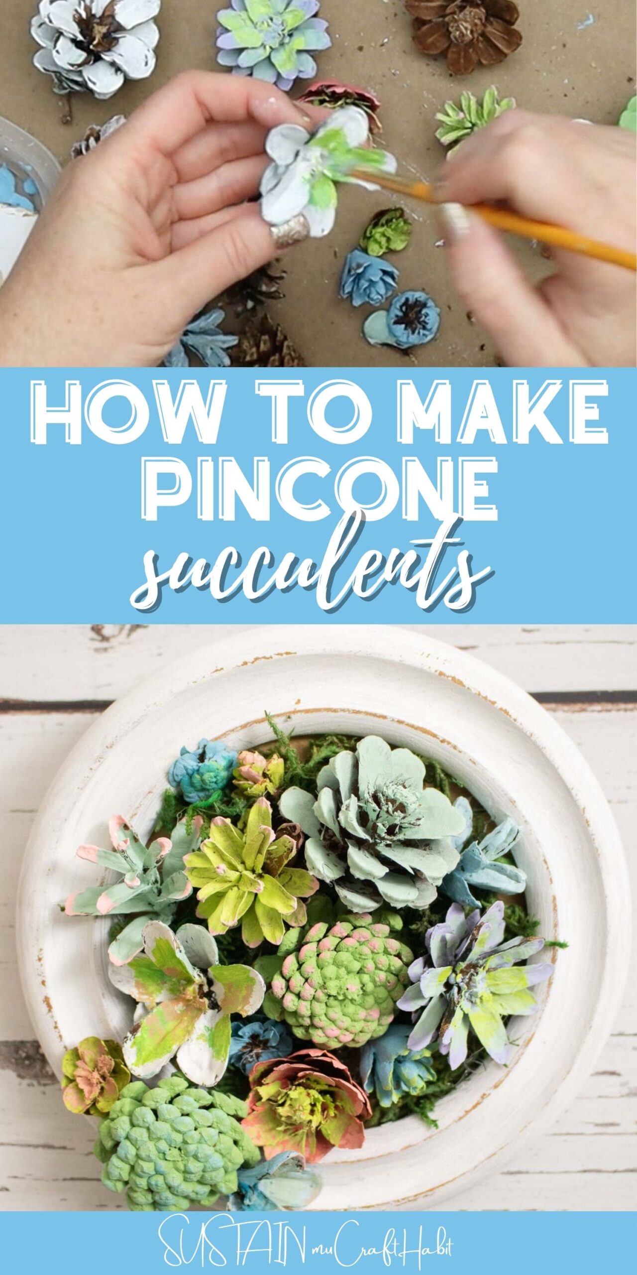 Collage of pinecone succulents and how to make them with text overlay.