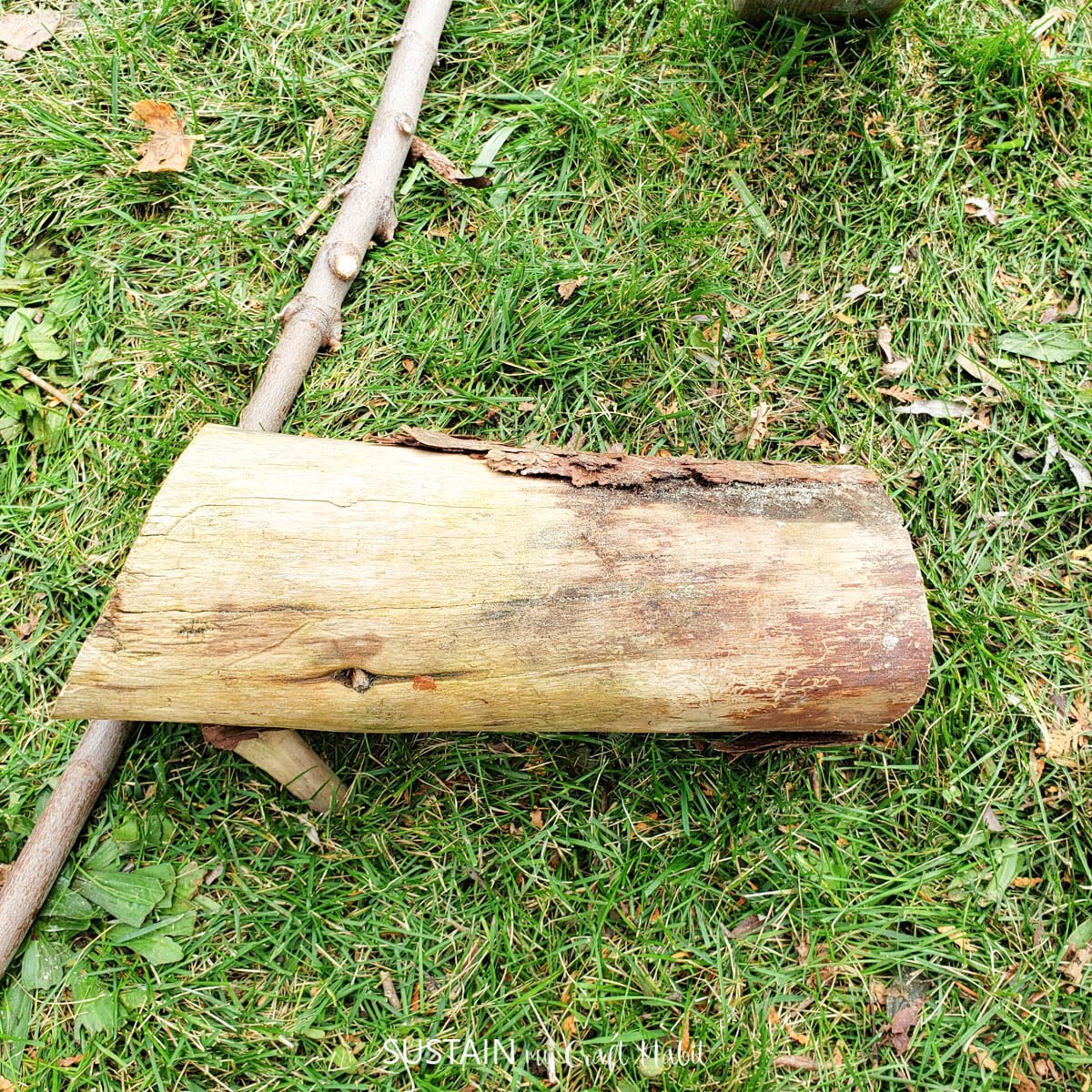 Large cut log.