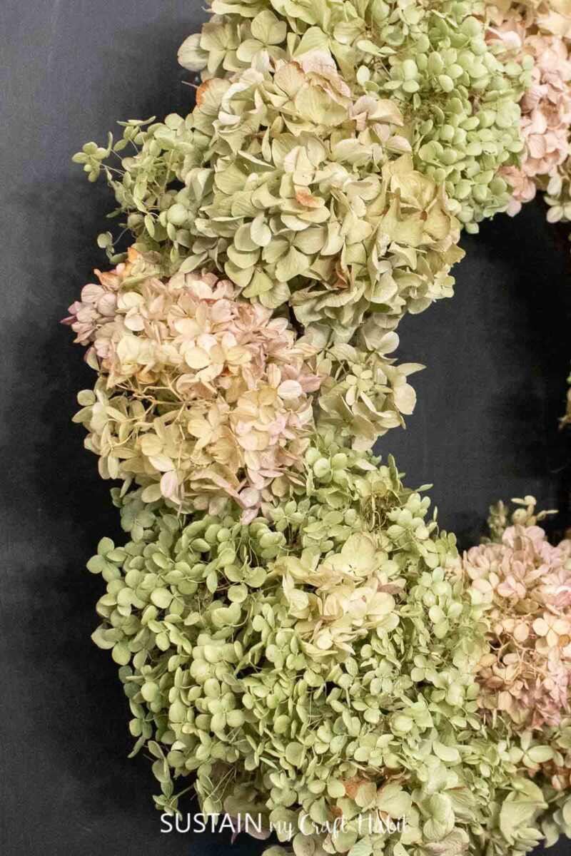 Dried hydrangeas attached to a wreath form.