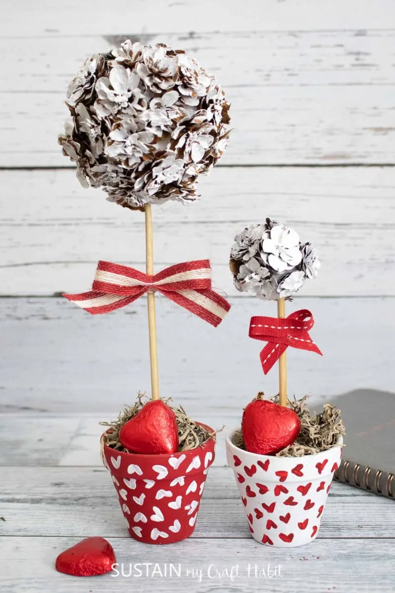 Mini pinecone topiary set on a table.