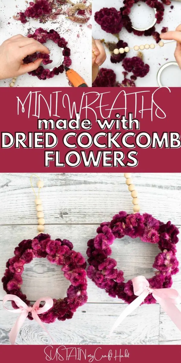 Collage showing how to make mini wreaths using dried cockcomb flowers. 