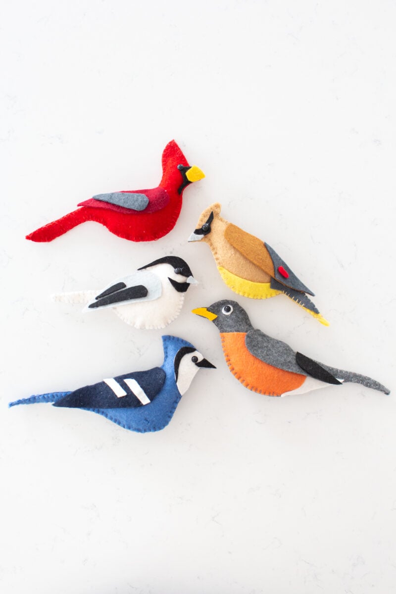 Cinq oiseaux en feutre, dont un rouge-gorge, un poussin, un geai bleu, un cardinal et un jaseur de cèdre.