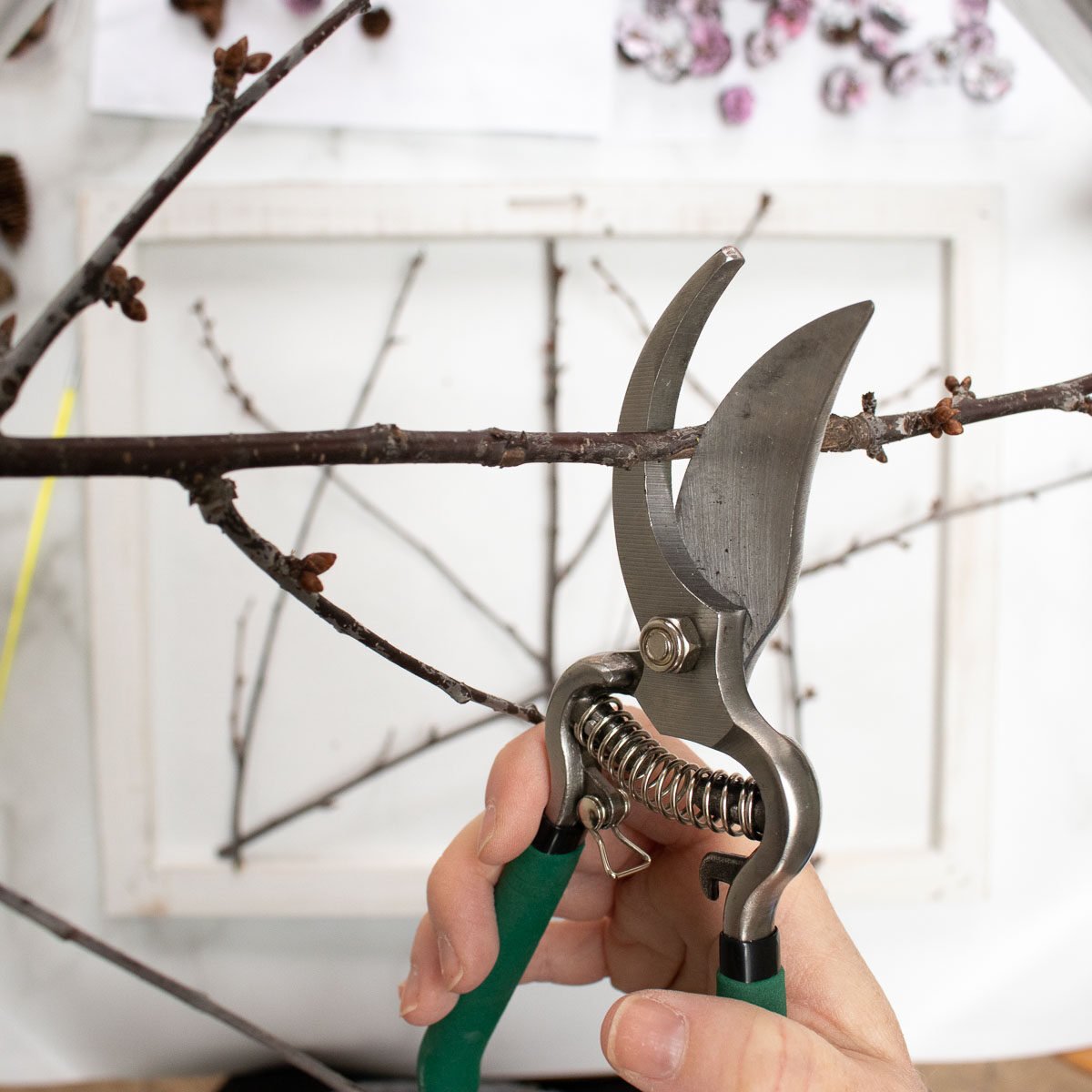 Cutting a twig with garden snips