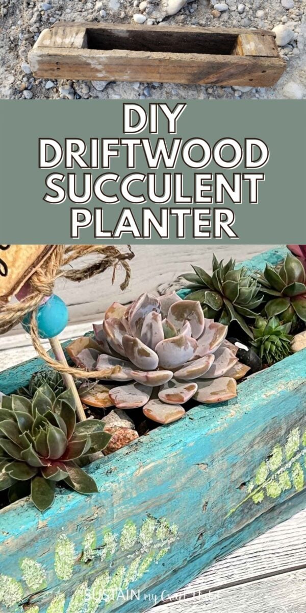 Collage with a piece of driftwood transformed into a succulent planter and text overlay. 
