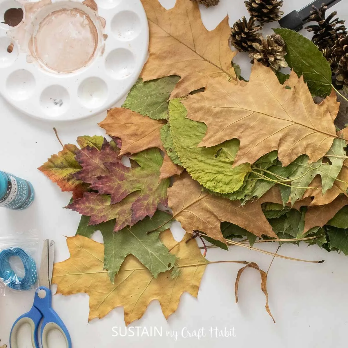 How to Press and Preserve Fall Leaves