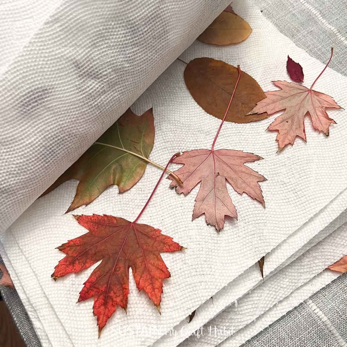 How To Dry Leaves for Crafts [The Easy Way!]