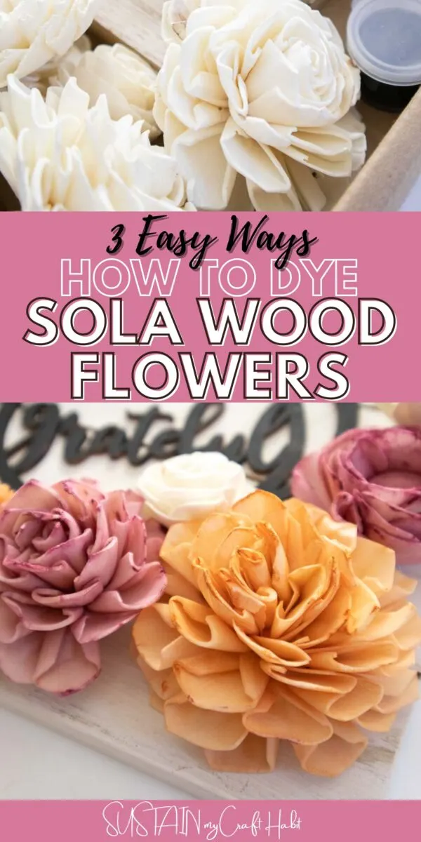 How To Dye Sola Flowers With Rit Dye