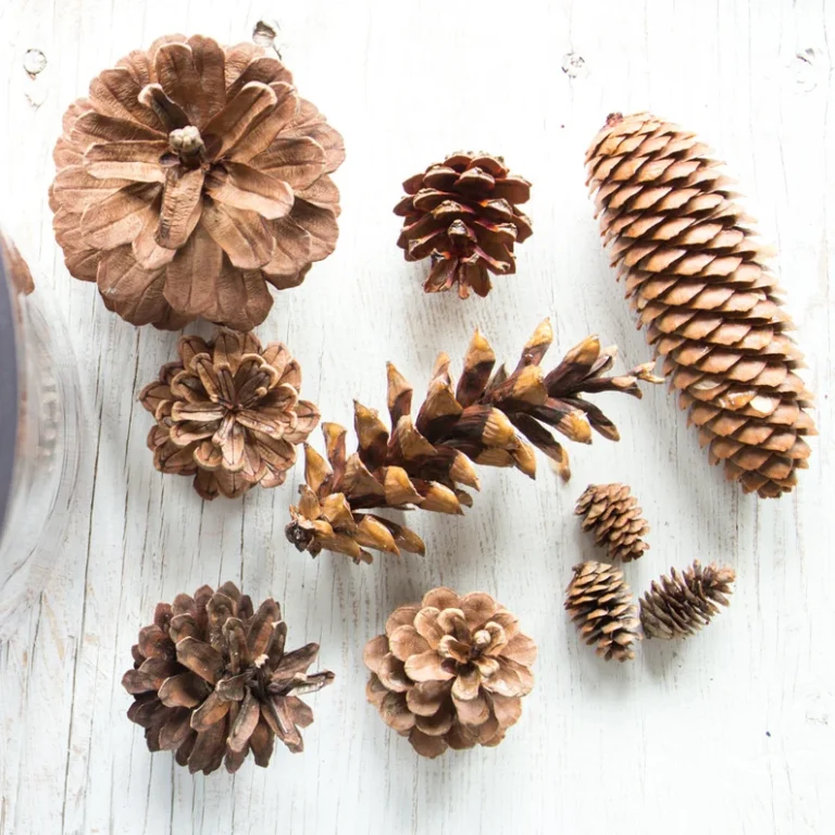 17 Amazing Pine Cone Ornaments