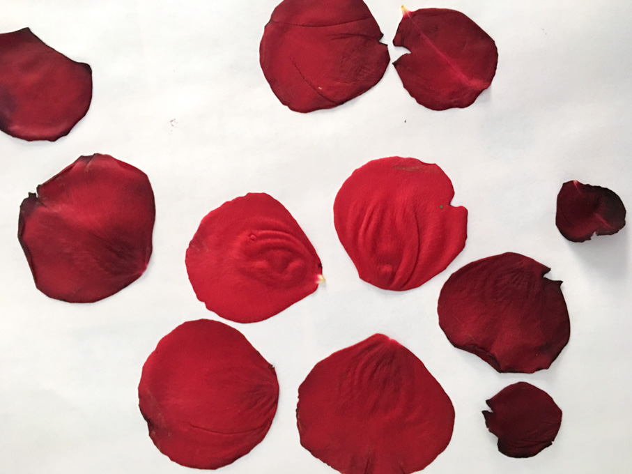 Dried rose petals.
