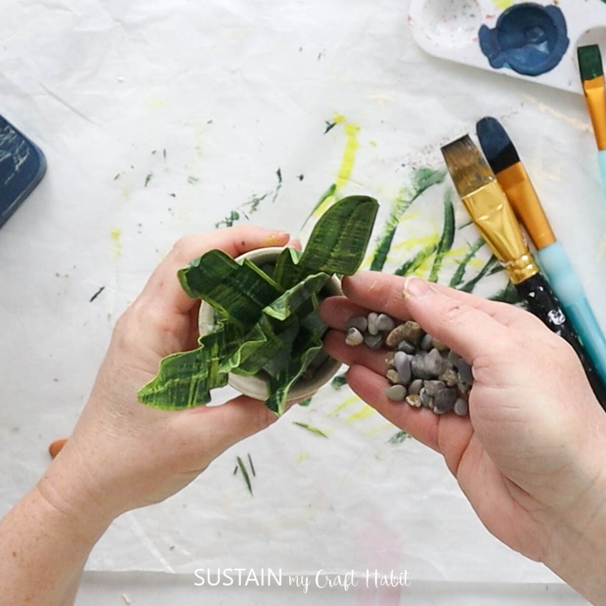 Inserting the snake plant with masking tape into floral foam and adding pebbles.