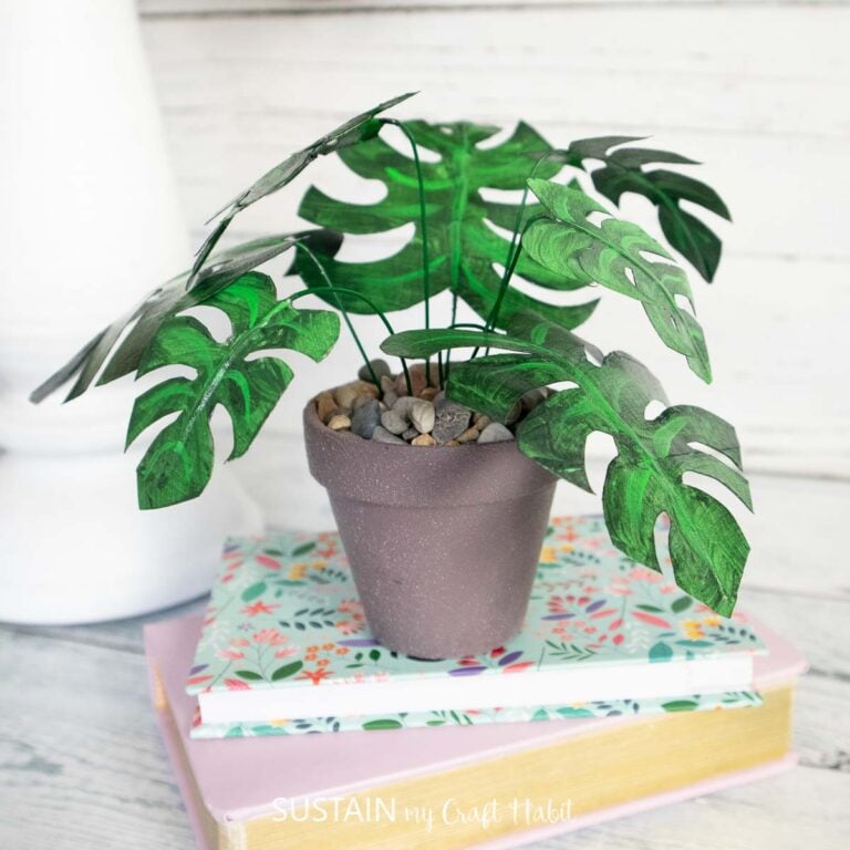 Mini Monstera Plant with Masking Tape