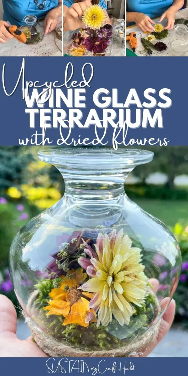 Collage showing how to make a wine glass terrarium with text overlay.