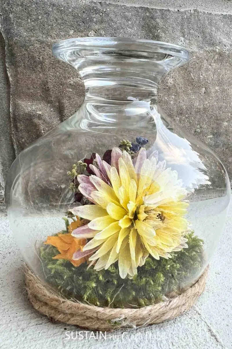 Wine glass terrarium with dried flowers