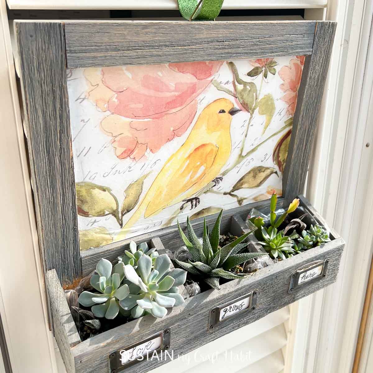 Creative Whiteboard Makeover Succulent Planter