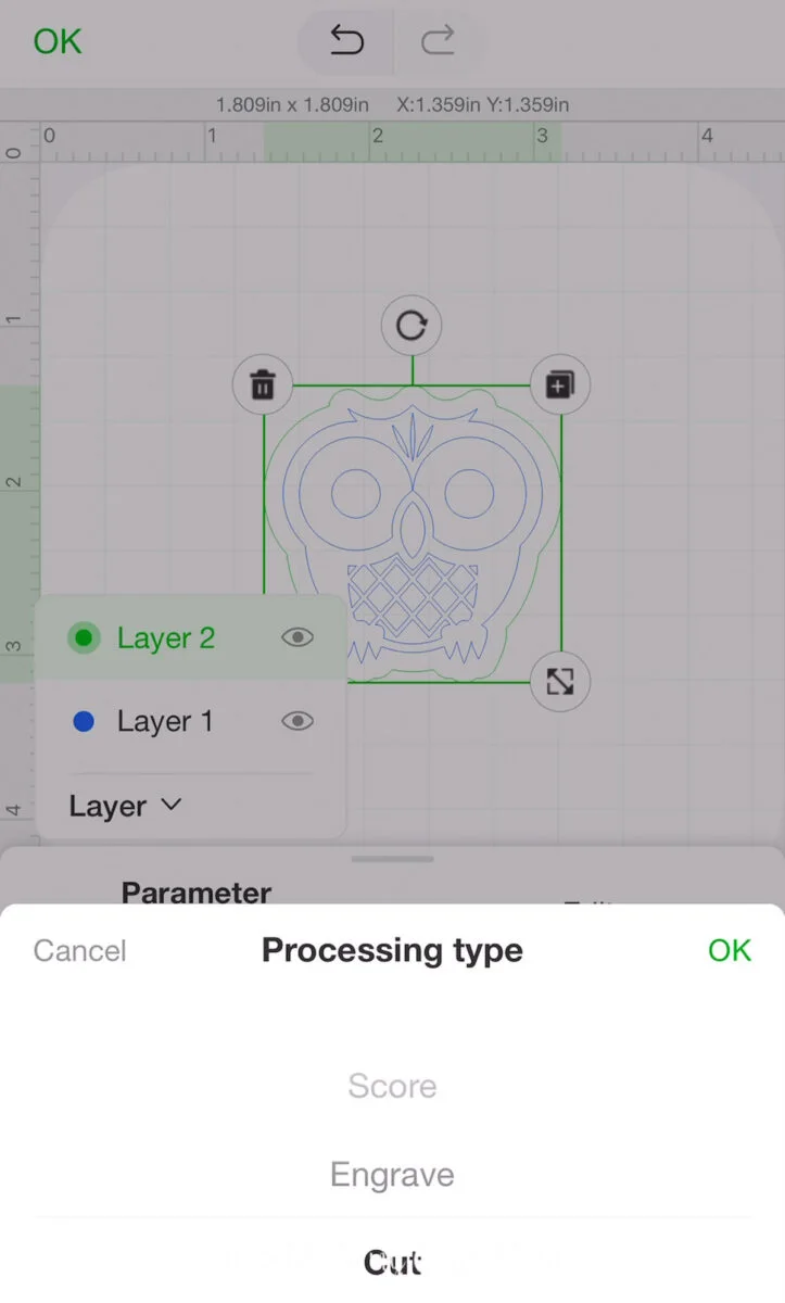 Choosing cut as the process type.