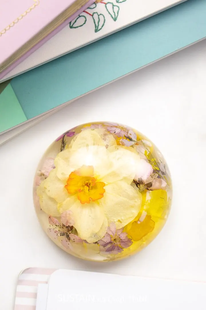Daffodil resin paper weight on a desk.