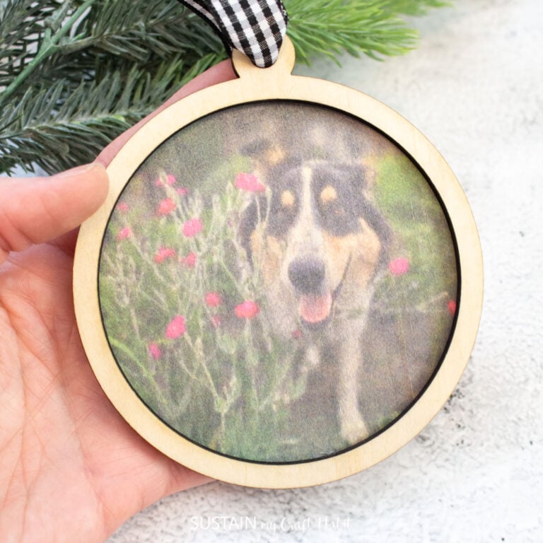 How to Print Photos on Wood with xTool M1 Ultra