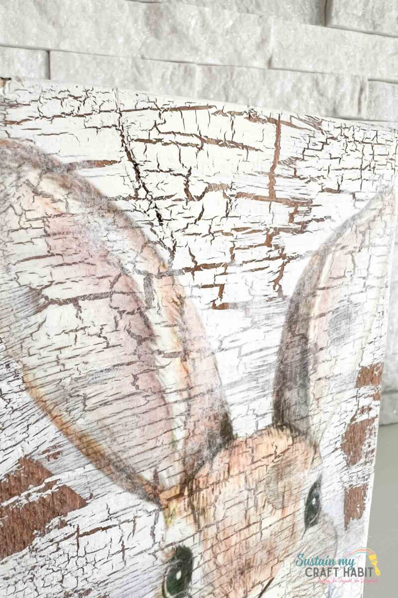 Close up of crackle effect. 