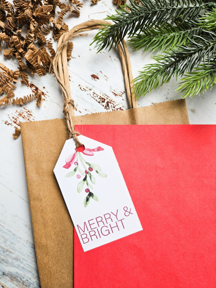 Printable holiday gift tag placed on a kraft paper gift bag and tied together with twine.