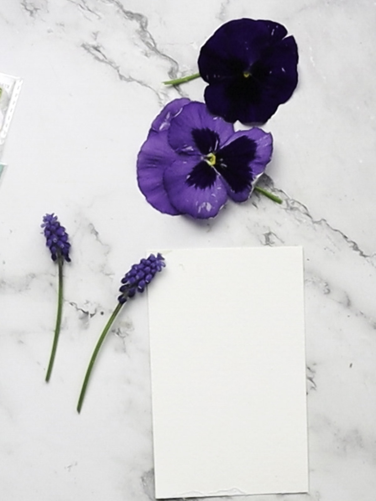 Fresh flowers and paper.