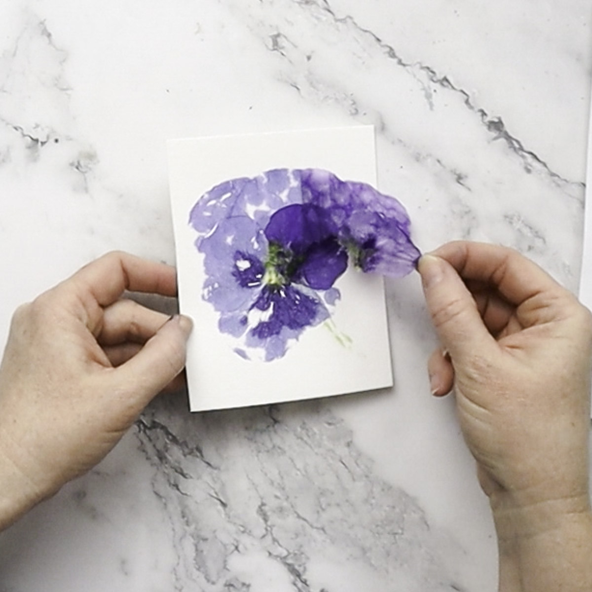 Peeling away flower petals.